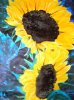 Sonnenblumen