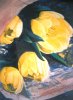 Tulpen vom Markt (3 von 5)