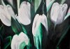 Weisse Tulpen (4 von 5)
