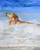 Hund