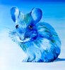 Maus